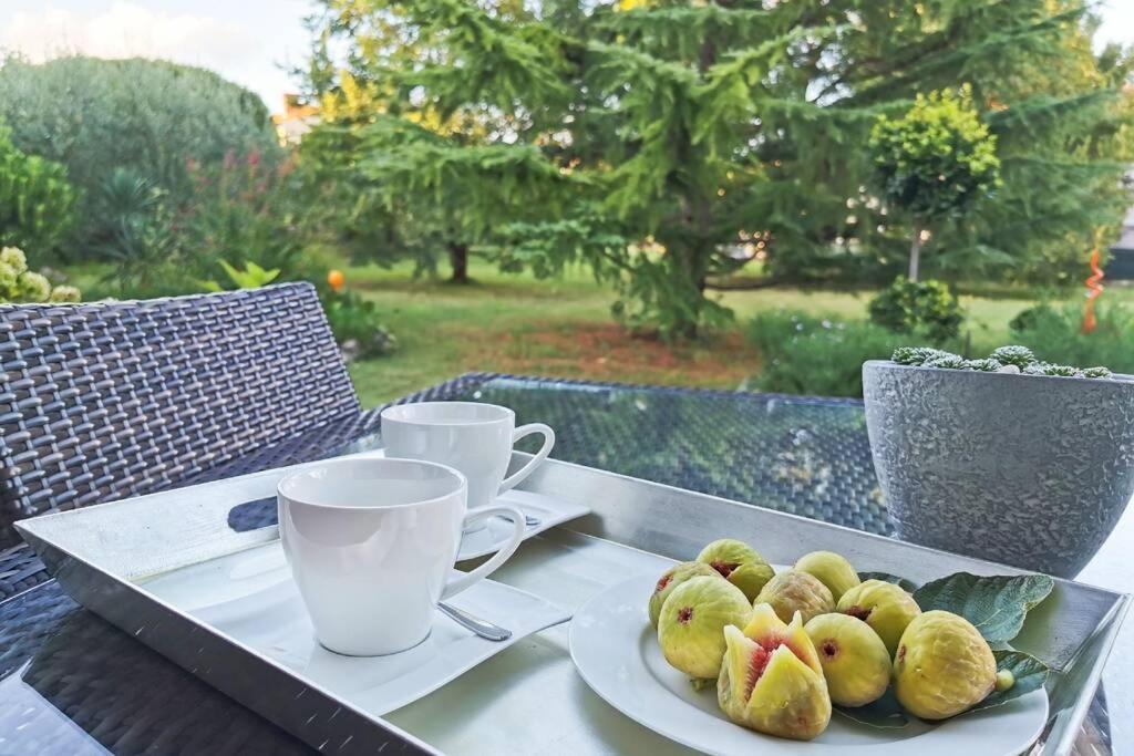 Apartament Samlandin *
